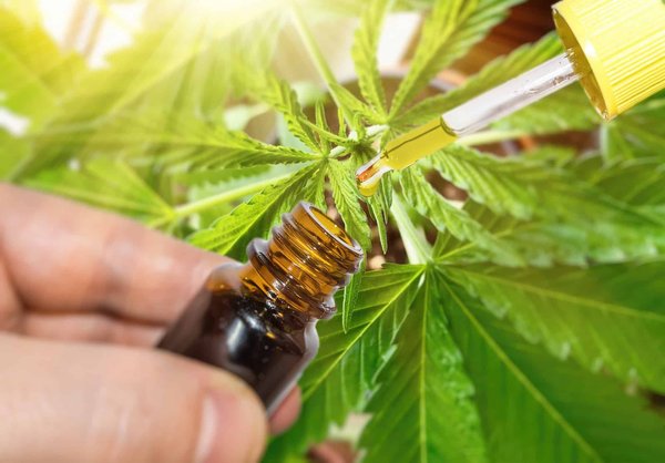 Quels critères pour le choix de son fournisseur de CBD ?